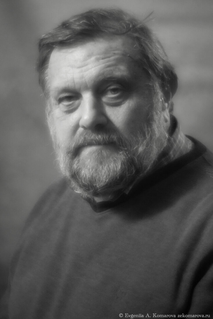 Кандидат философских наук, ведущий научный сотрудник, руководитель сектора философских проблем социальных  и гуманитарных наук, член Учёного совета