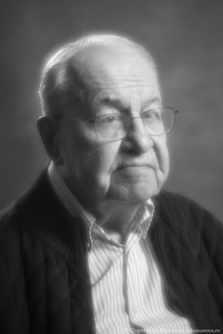 Академик РАН, профессор, доктор философских наук, руководитель отдела онтологии, теории познания  и логики, главный научный сотрудник сектора  теории познания, член Учёного совета