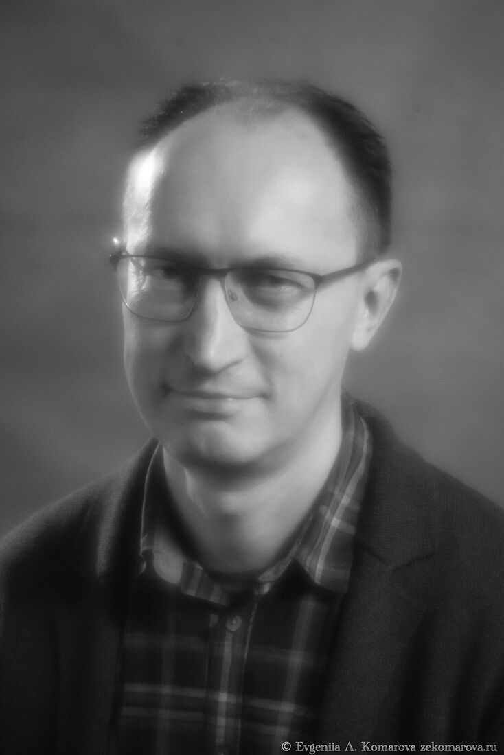 Доктор философских наук, ведущий научный сотрудник  сектора современной западной философии