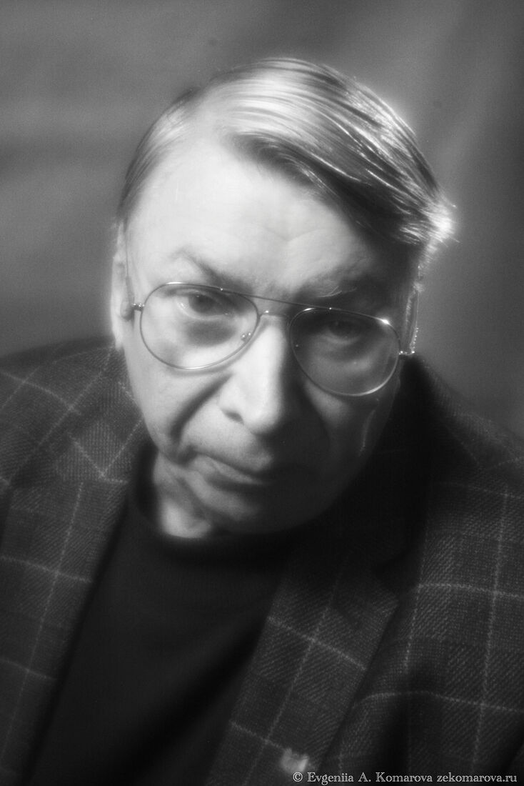 Профессор, доктор философских наук, руководитель отдела социальной и политической философии, главный научный сотрудник, руководитель сектора философии российской истории, член Учёного совета