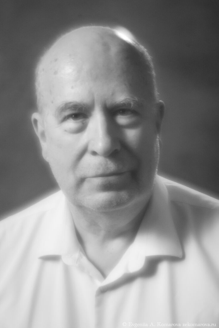 Академик РАН, доктор философских наук, руководитель отдела истории философии, главный научный сотрудник, руководитель сектора философии исламского мира, врио первого заместителя директора по научной работе, член Учёного совета