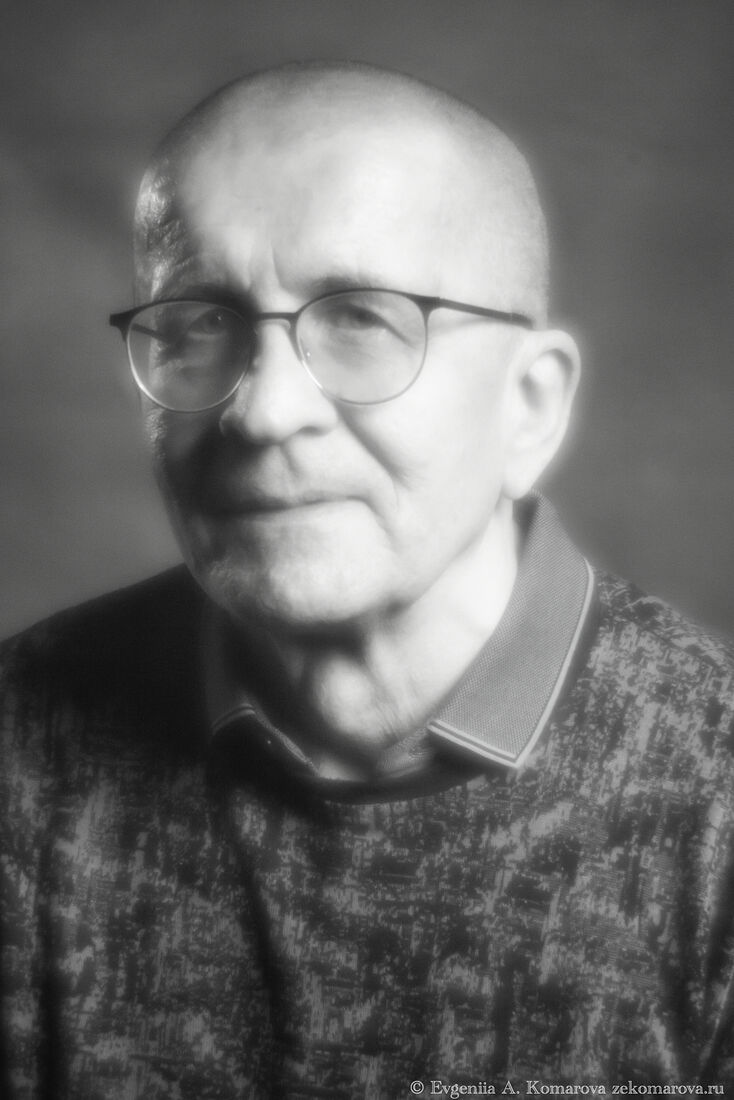 Доктор философских наук, ведущий научный сотрудник, руководитель сектора логики,  член Учёного совета